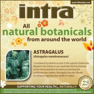 Astragalus (Astragalus membranaceous)