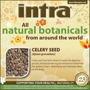 Celery Seed (Apium Graveolens)