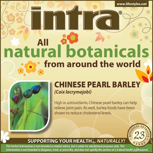 Chinese Pearl Barley (Coix Lacrymajobi) Chinese Pearl Barley (Coix Lacrymajobi)