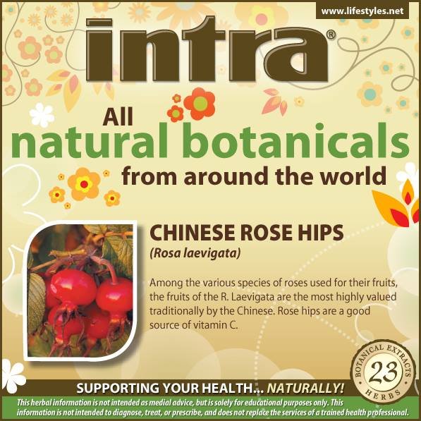 Chinese Rose Hips (Rosa Laevigata) Chinese Rose Hips (Rosa Laevigata)