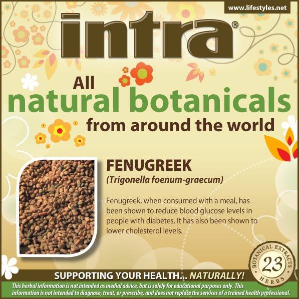 Fenugreek (Trigonella foenum-graecum) Fenugreek (Trigonella foenum-graecum)