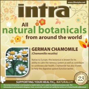 German Chamomile (Chamomilla Recutita)