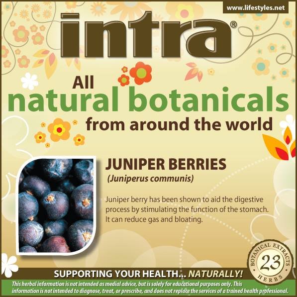 Juniper Berries (Juniperus Communis) Juniper Berries (Juniperus Communis)