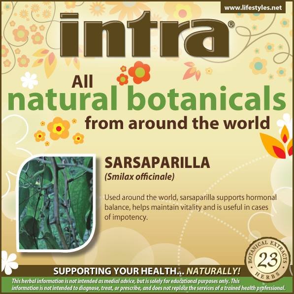Sarsaparilla (Smilax Officinale) Sarsaparilla (Smilax Officinale)