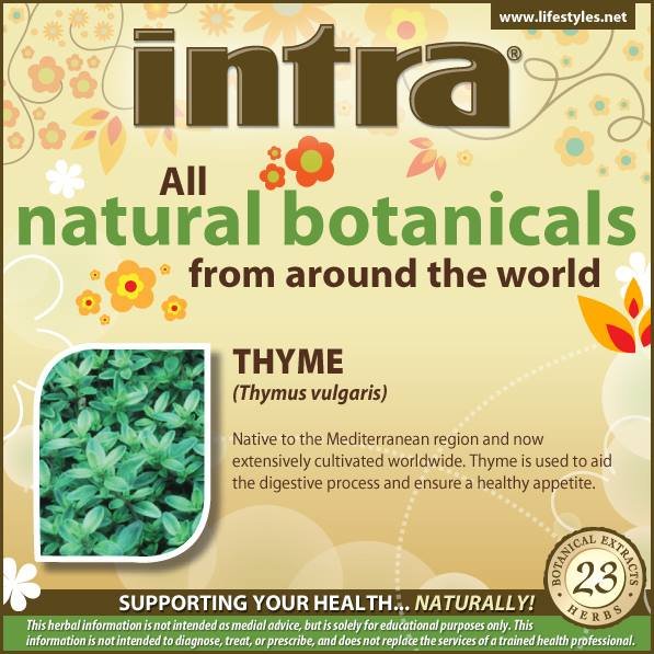 Thyme (Thymus Vulgaris) Thyme (Thymus Vulgaris)